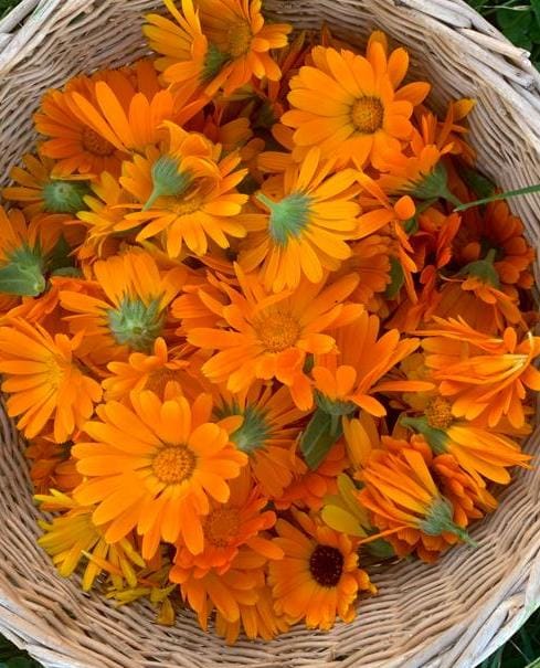 This image has an empty alt attribute; its file name is whatsapp-image-2023-07-30-at-17.00.01-2.jpeg