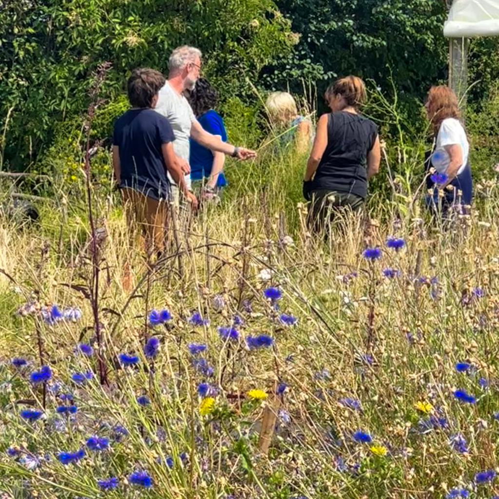 This image has an empty alt attribute; its file name is whatsapp-image-2023-07-30-at-17.00.01.jpeg